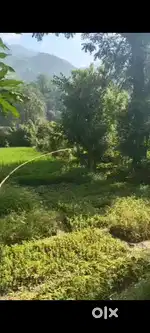 14 नाली ज़मीन बिकाऊ है भुजियाघाट में नदी और पहाड़ का व्यू ,रोड के पास