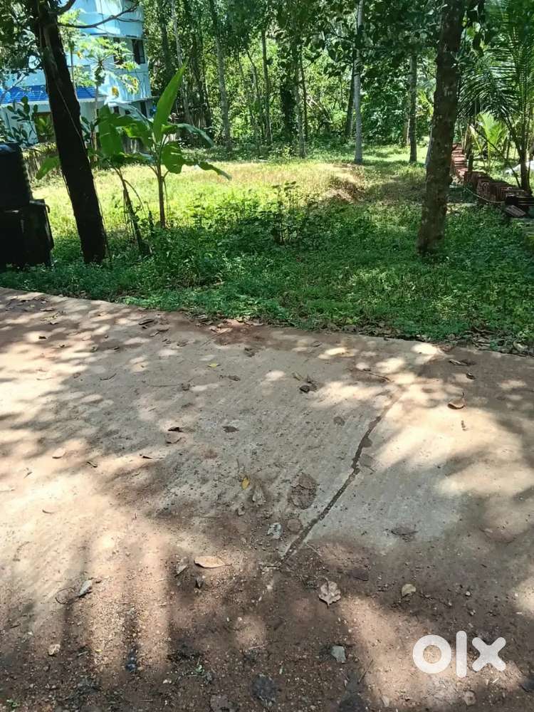 Plot for sale ( Vilayil puthenveedu panavila Kollemcode Tamilnadu