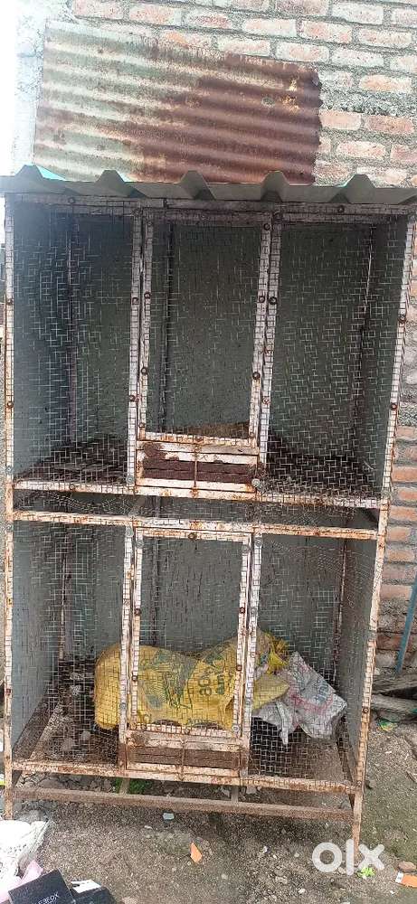 Cage in good condition