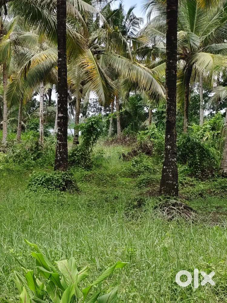 350 Acres of land for sale