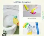 Professional cleaning job door to door service bike compulsory frsf