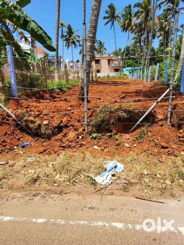 18.5 Cent Land for Sale – Colachel