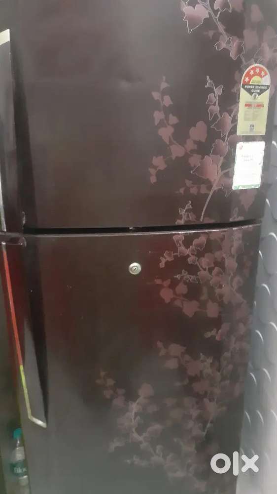Lg refrigerator