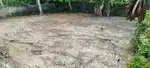5 cent House plot