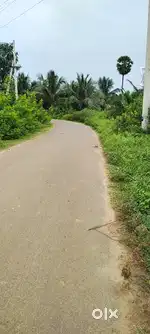 Bhogapuram Airport Acre Sale Beach View Near