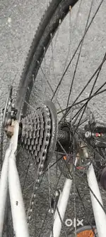 21 ger bay cycle