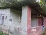 5 സെന്റ് സ്ഥലവും ചെറിയ ഷീറ്റിട്ട വീടും വില്പനക്ക്.