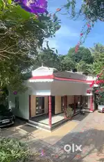 Building,House and plots for sale in kattappana town.