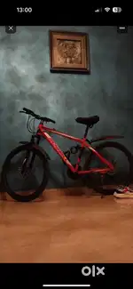 Red Schnell cycle with dual gear and dual dis break front and back