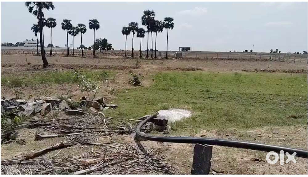 Farm Land for Sale at Sirumailur Village, Uthiramerur Taluk, Kanchipur