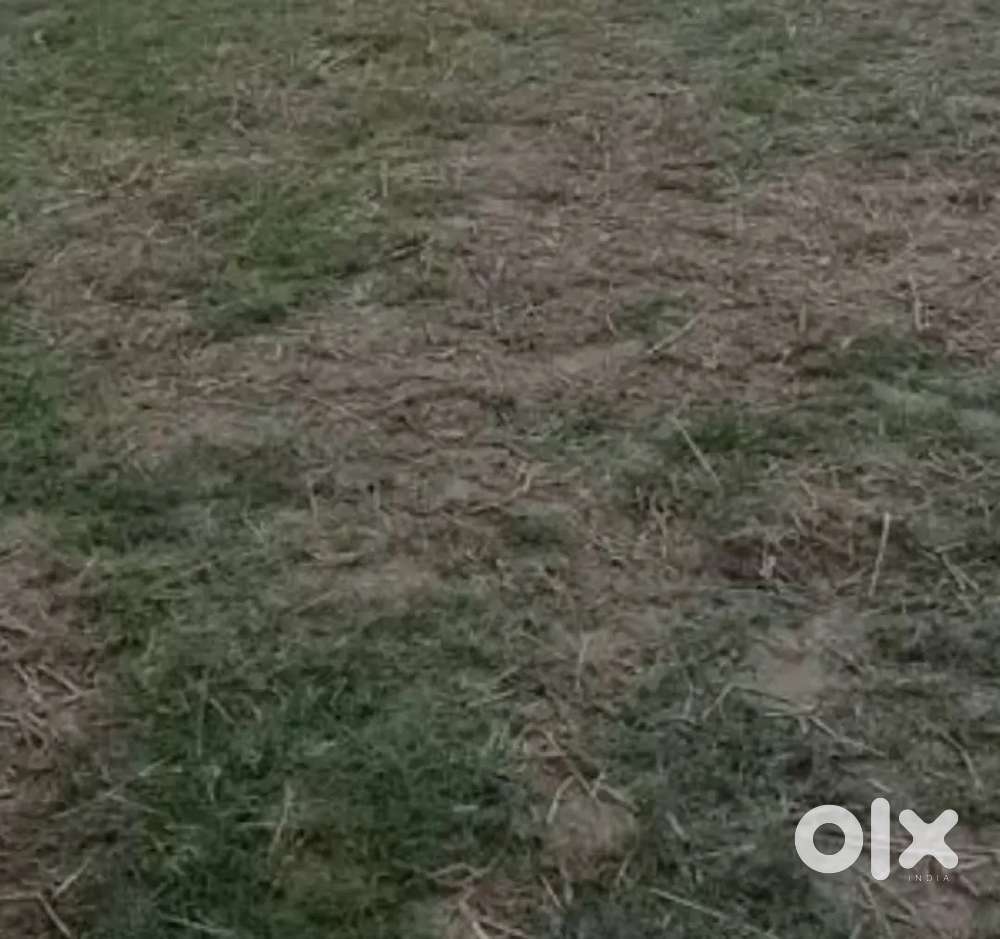 लेने वाले ही संपर्क करे