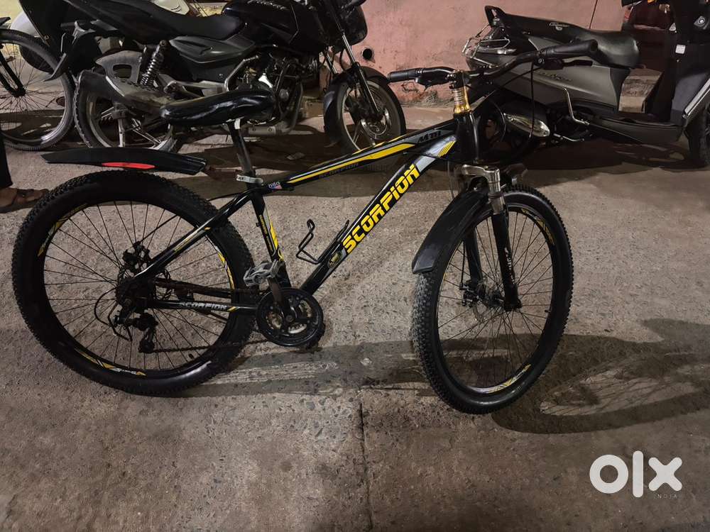 Scorpion brand cycle