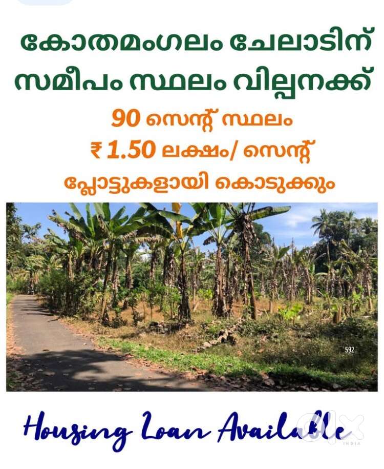 കോതമംഗലം  ചേലാട്