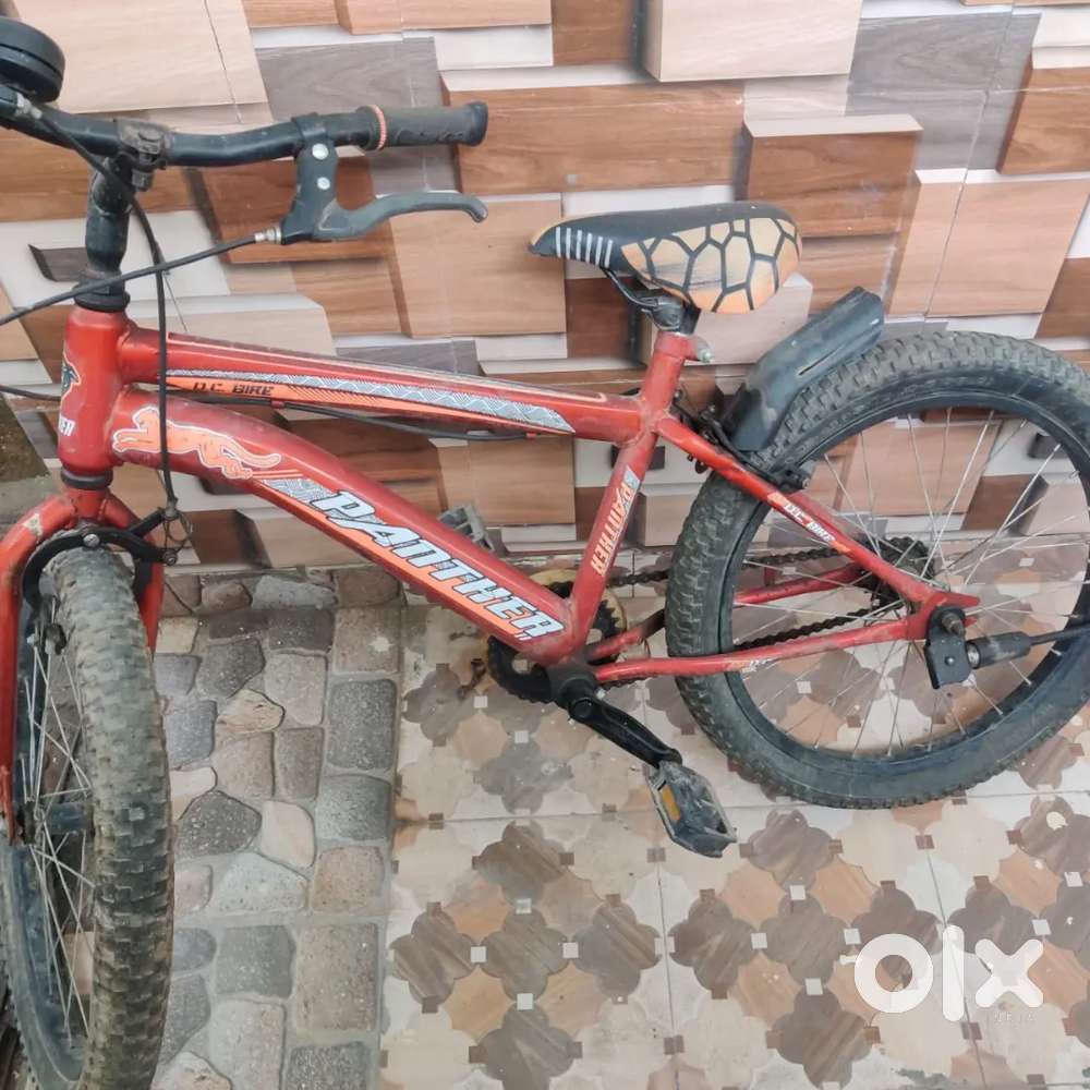 Panther DC Bicycle