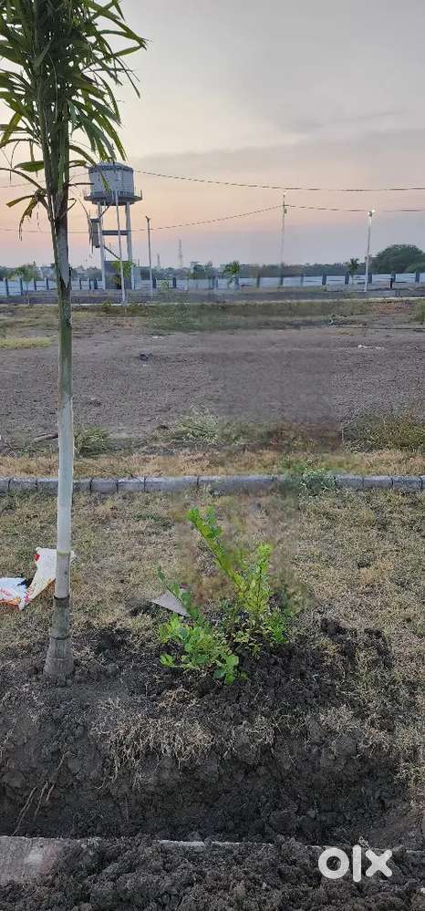 Need to rent my land 1000sq ft for commercial use