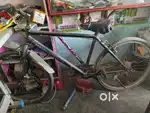 Sales Branded Cycle Running Condision