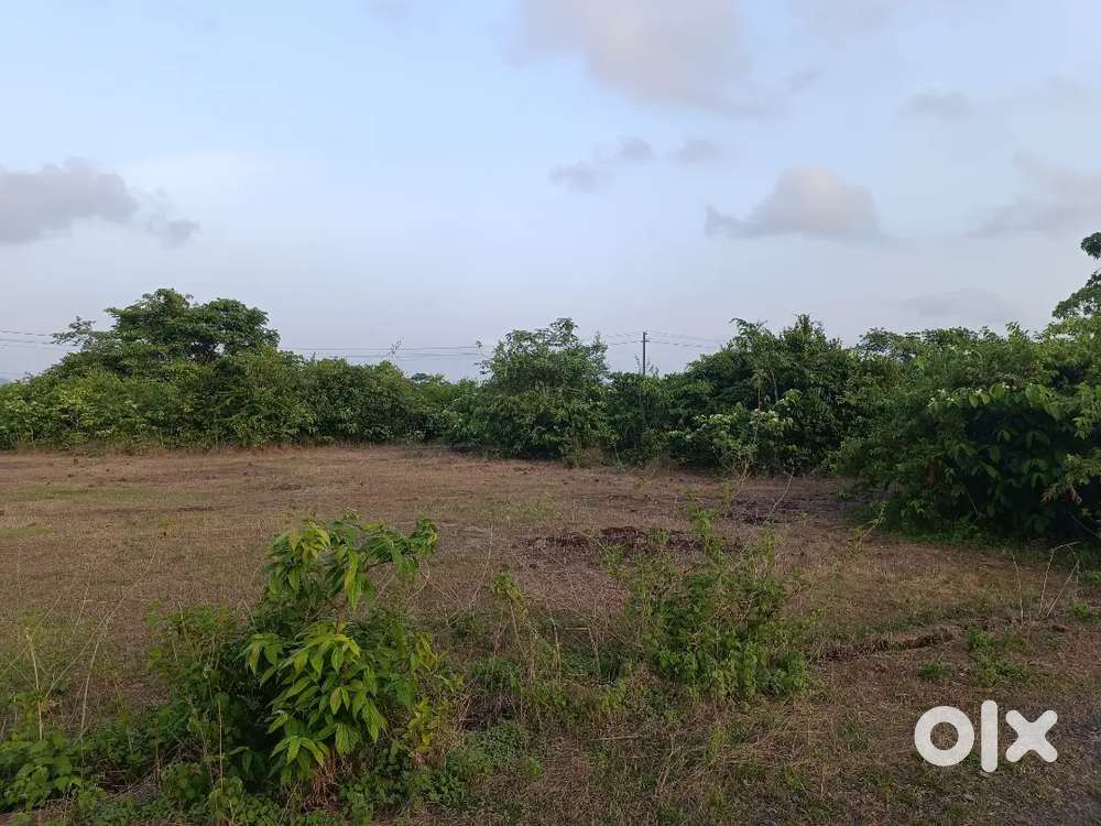 Urgent NA plot for sale near Engineering College farmaGudi Ponda Goa