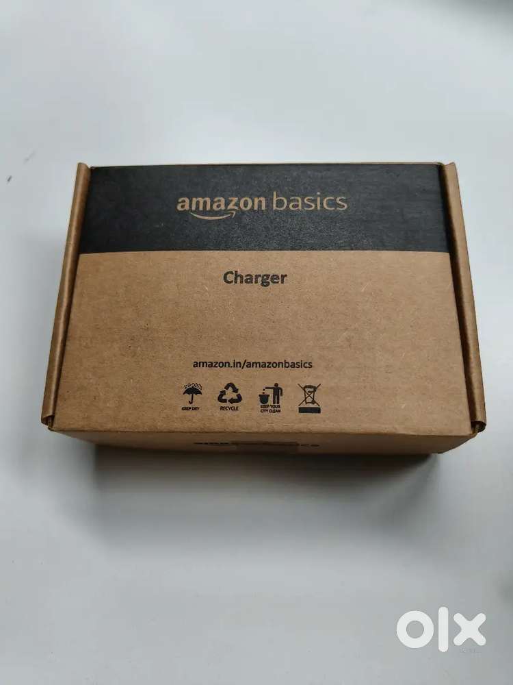 100 Watt Amazon Basic Charger