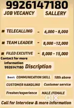 Tellycalling Team Leader seles Ective