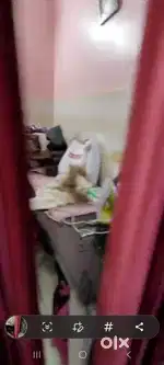 Biuilder floor 1 bhk with attched 1 washrrom