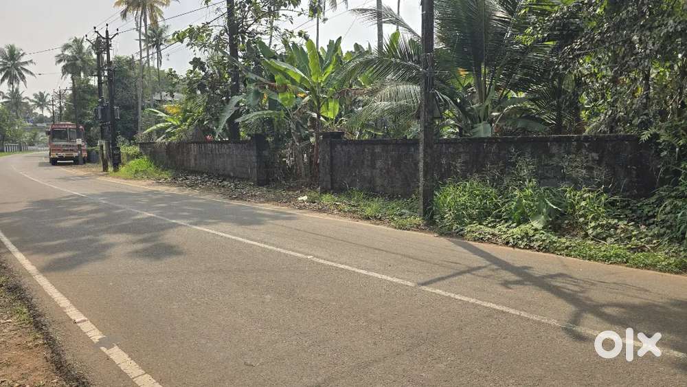 koratty chirangara 48 cent bus route frontage 48 cent plot for sale