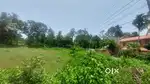 Land for sale - Ideal for build a home or small agri farm