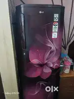 LG REFRIGERATOR SMART INVERTER COMPRESSOR 4 STAR