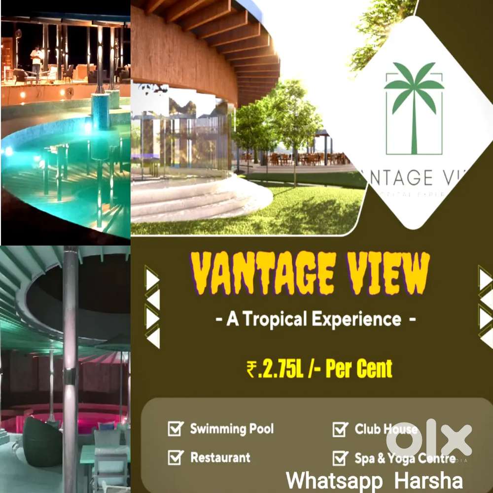 International Standard  Farms