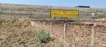 Plot for business and house build tengra more