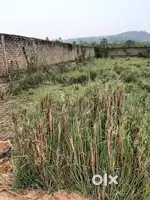 1.5 katah land for sale near DPS School and Ayursundra hospital