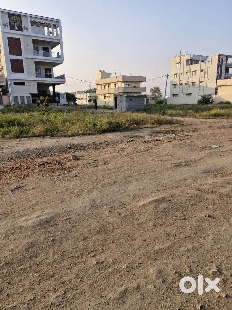 4Cents Beside PVKK  College main  gate