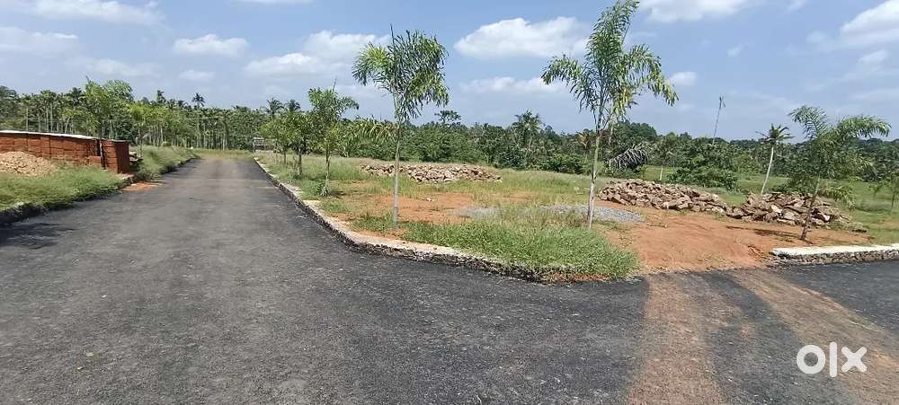 ANGAMALY THURAVOOR JUNCTION 5,6,8, 10 CENT PLOTS, AVAILABLE