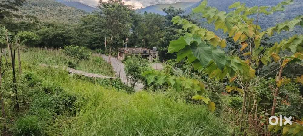 1 acre cultivated land on Sale