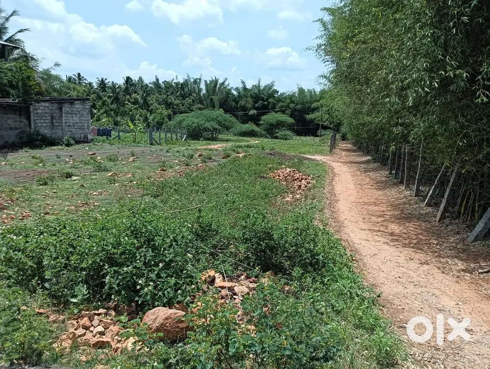 3 plot available in Newton ,ismail negar