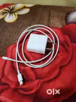Apple original type-c to lightining cable and 20 watt adapter
