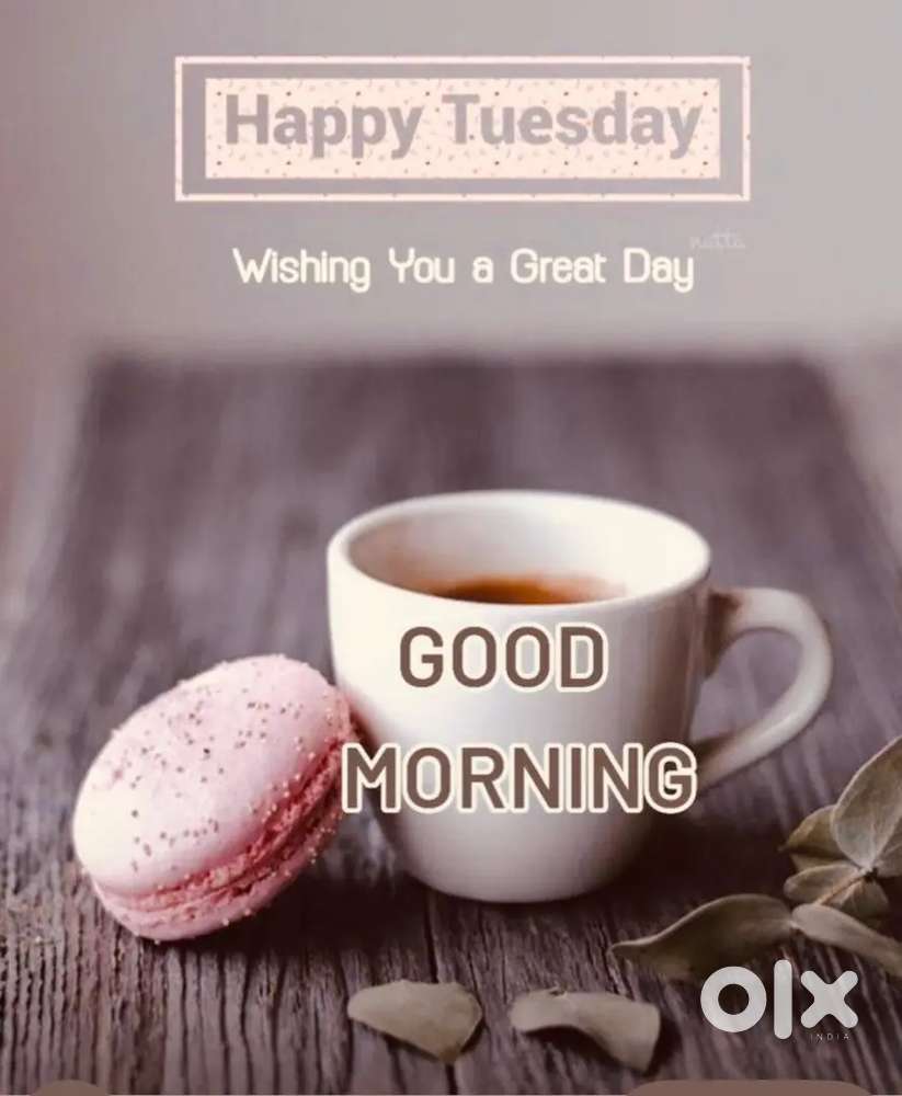 Chinese indian Cook requirement