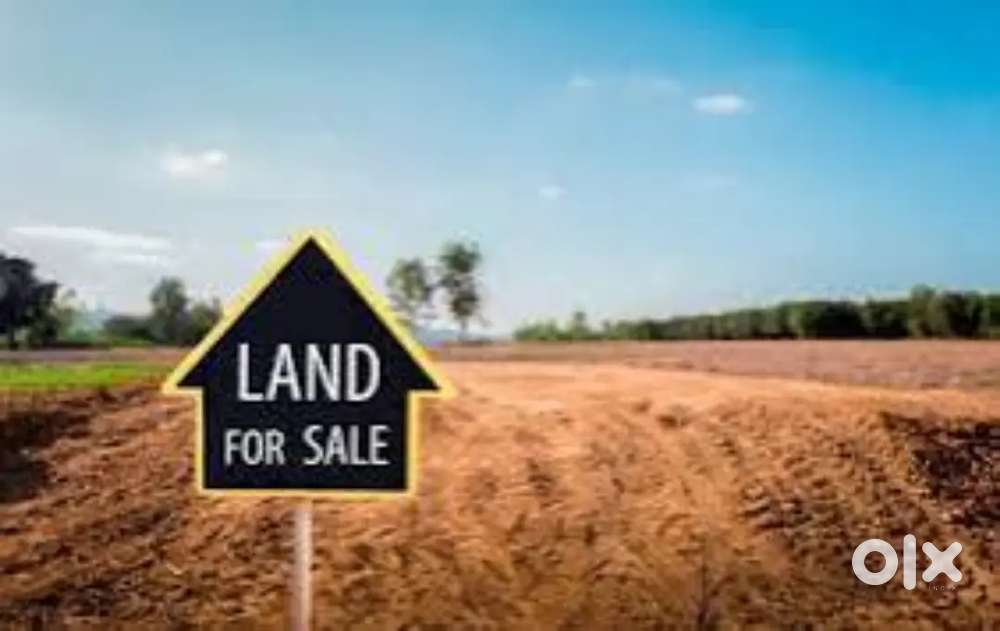 Best Location in Thawe Temple