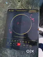 PIGEON INDUCTION