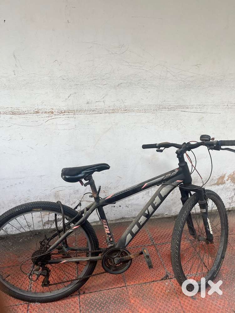 Level bicycle