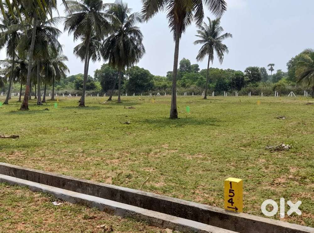 DTCP Approved Residential Plot : Atchutapuram