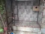 Cage big size
