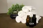 Part-Time Wellness Therapist Job for Males