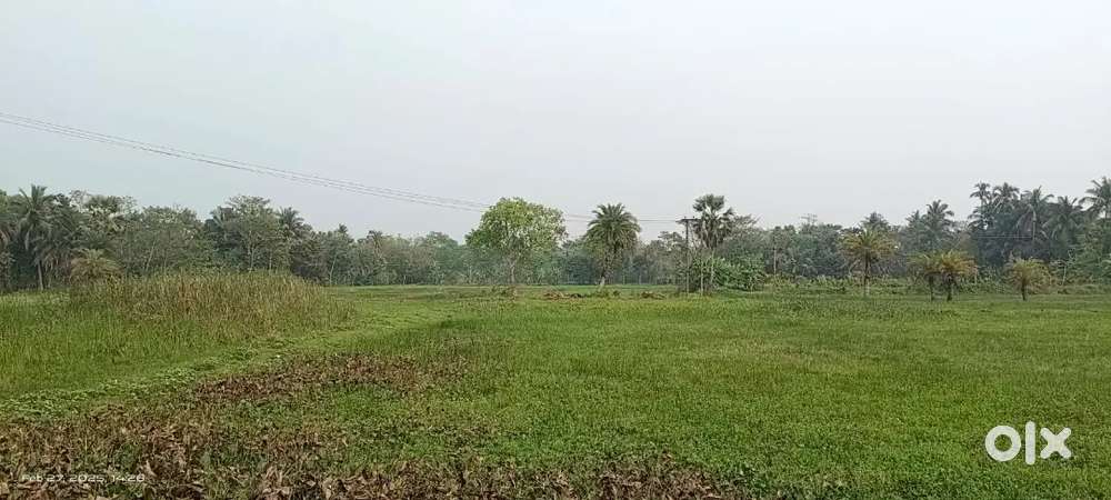 4 accer Best place beside NH34