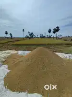 1 Acer paddy field