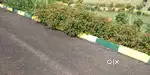 Plot for sale near devvanahalli, new airport hurry !!