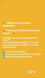 High growth investment opportunity