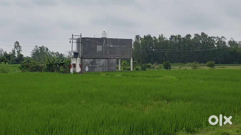 डबल फसल उपजाऊ वाले खेत उपलब्ध है रोड से लगा हुआ खरीदे