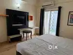 1rk fully furnished available in delta 1