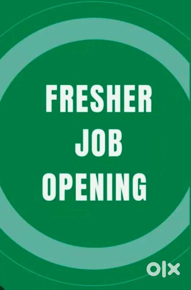 Fresher job opening in company