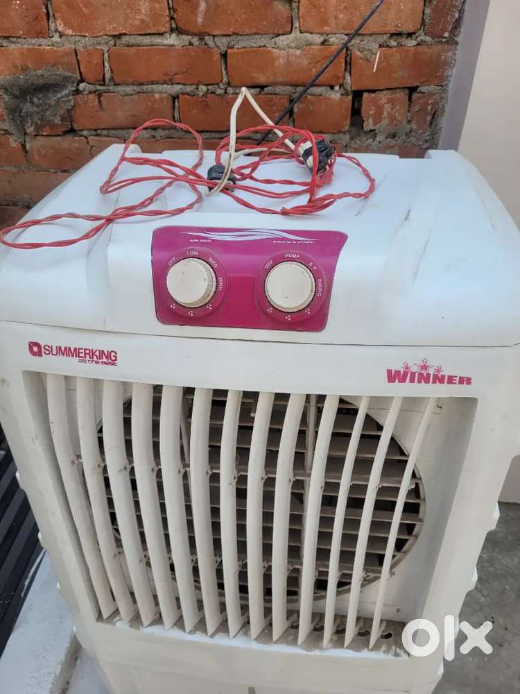 Cooler summer king